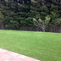 Artificial Grass Berwyn Heights Maryland Landscape Pavers