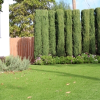 Artificial Grass Forest Glen Maryland Lawn Commercial Landscape