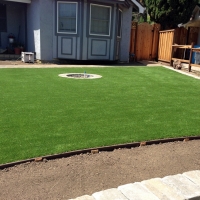 Artificial Grass Fort Meade Maryland Landscape Back Yard