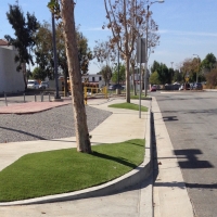 Artificial Grass Langley Park Maryland Lawn Commercial Landscape