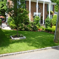 Artificial Grass Pleasant Hills Maryland Lawn Front Yard