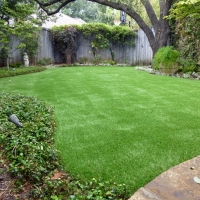 Artificial Grass Savage Maryland Landscape Commercial Landscape