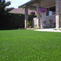 Artificial Grass Severna Park Maryland Landscape Back Yard