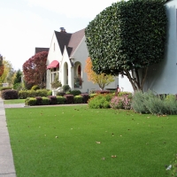 Artificial Grass Silver Spring Maryland Landscape Commercial