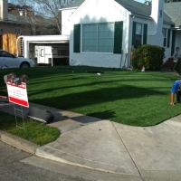 Artificial Grass Woodmore Maryland Landscape Back Yard