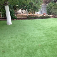 Artificial Turf Beltsville Maryland Landscape Back Yard