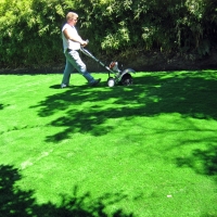 Artificial Turf Butlertown Maryland Landscape Front Yard