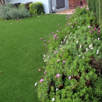 Artificial Turf Colmar Manor Maryland Lawn Commercial Landscape