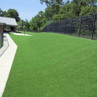 Artificial Turf Columbia Maryland Lawn Back Yard