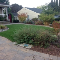 Artificial Turf East Riverdale Maryland Lawn Back Yard