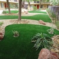 Artificial Turf Edgewood Maryland Landscape Back Yard