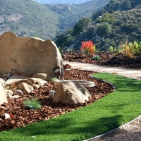 Artificial Turf New Freedom Pennsylvania Landscape