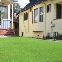 Artificial Turf Takoma Park Maryland Landscape Front Yard