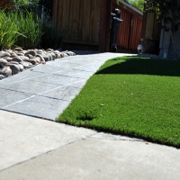 Fake Grass Berwyn Heights Maryland Landscape Front Yard