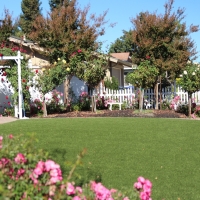 Fake Grass Chester Maryland Landscape Back Yard