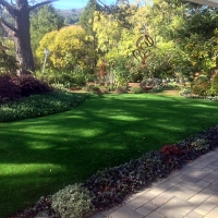 Fake Grass Glenarden Maryland Lawn Front Yard