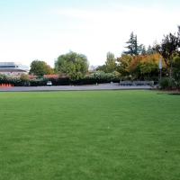 Fake Grass Hillsmere Shores Maryland Playgrounds Front Yard