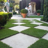 Fake Grass Lake Arbor Maryland Landscape Front Yard