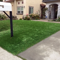 Fake Grass North Brentwood Maryland Landscape Commercial