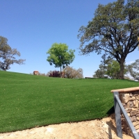 Fake Grass Perry Hall Maryland Lawn Front Yard