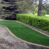 Fake Grass Riverdale Park Maryland Landscape Back Yard