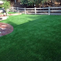 Fake Pet Grass Bladensburg Maryland Installation Front Yard