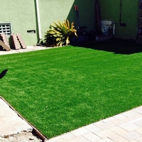 Fake Pet Turf Beltsville Maryland Installation Front Yard