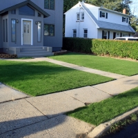 Fake Turf Cape Saint Claire Maryland Landscape Back Yard