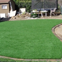 Fake Turf Chillum Maryland Landscape Back Yard