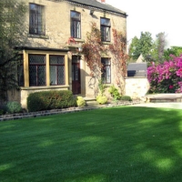 Fake Turf Edmonston Maryland Landscape Back Yard