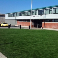 Fake Turf Essex Maryland Landscape Back Yard Cold Weather