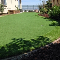 Fake Turf Green Haven Maryland Landscape Front Yard