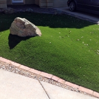 Fake Turf Selby-on-the-Bay Maryland Lawn Back Yard