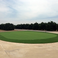 Putting Greens Edesville Maryland Synthetic Grass Back Yard