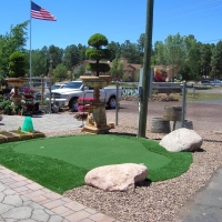 Putting Greens Herald Harbor Maryland Synthetic Turf Swimming