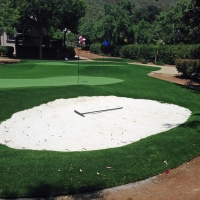 Putting Greens Riviera Beach Maryland Fake Grass