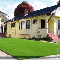 Synthetic Grass North Chevy Chase Maryland Landscape Summer