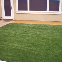 Synthetic Grass Takoma Park Maryland Landscape Front Yard