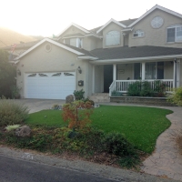 Synthetic Turf Edmonston Maryland Lawn Front Yard