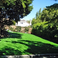 Synthetic Turf Ferndale Maryland Landscape Front Yard