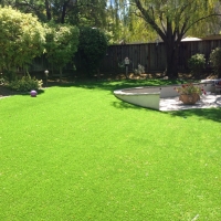 Synthetic Turf Glen Burnie Maryland Lawn Grass for Dogs