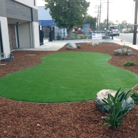 Synthetic Turf Hyattsville Maryland Landscape Back Yard