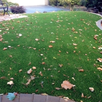 Synthetic Turf Langley Park Maryland Landscape Front Yard