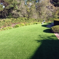 Synthetic Turf Odenton Maryland Landscape Back Yard