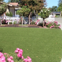 Synthetic Turf Seabrook Maryland Landscape Back Yard