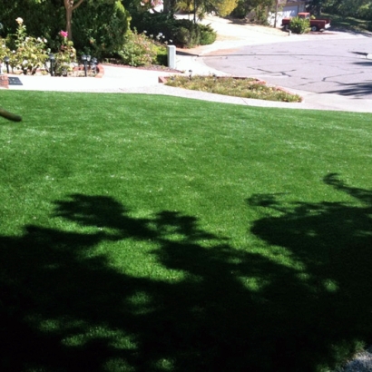 Artificial Grass College Park Maryland Landscape Recreational