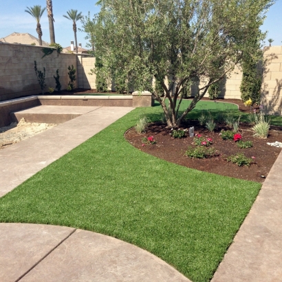 Artificial Grass Edgemere Maryland Landscape Back Yard