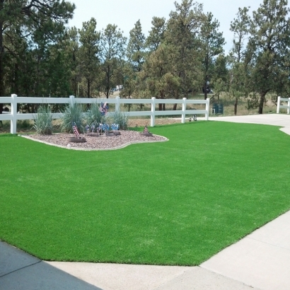 Artificial Grass Essex Maryland Lawn Front Yard