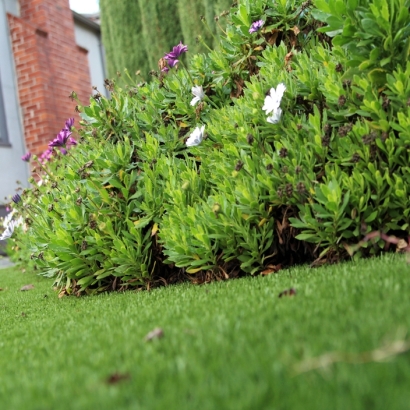 Artificial Grass Kent Narrows Maryland Landscape Front