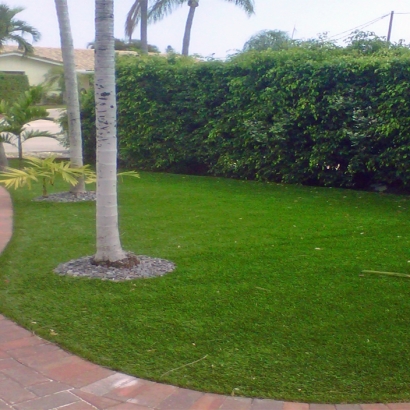 Artificial Grass Kingsville Maryland Landscape Back Yard